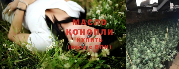 соль ск Вяземский