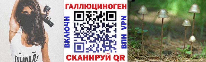 Галлюциногенные грибы Cubensis  что такое   Западная Двина 