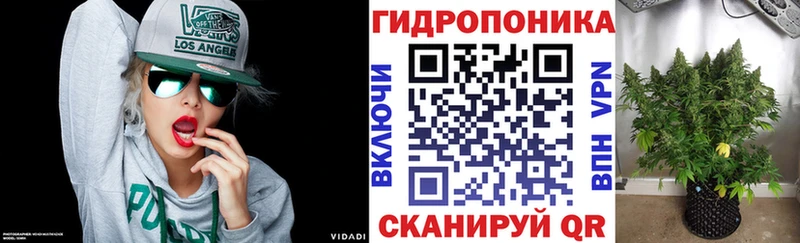 Бошки Шишки OG Kush  продажа наркотиков  Западная Двина 